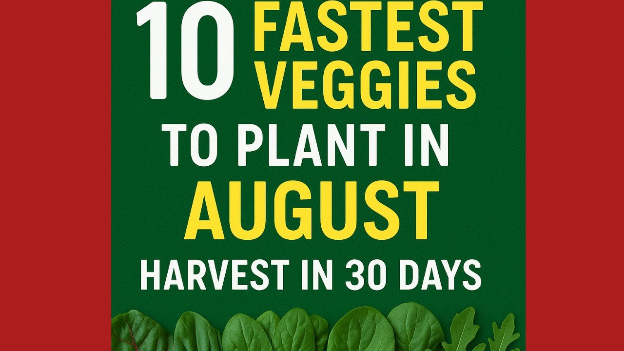 10 FASTEST Veggies to Plant in August for A Harvest in 30 Days!