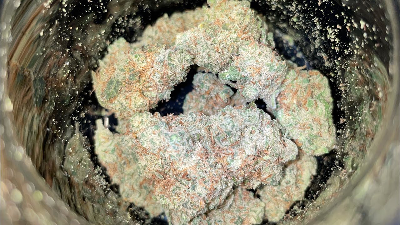Franklin labs NIGERIAN HAZE flower