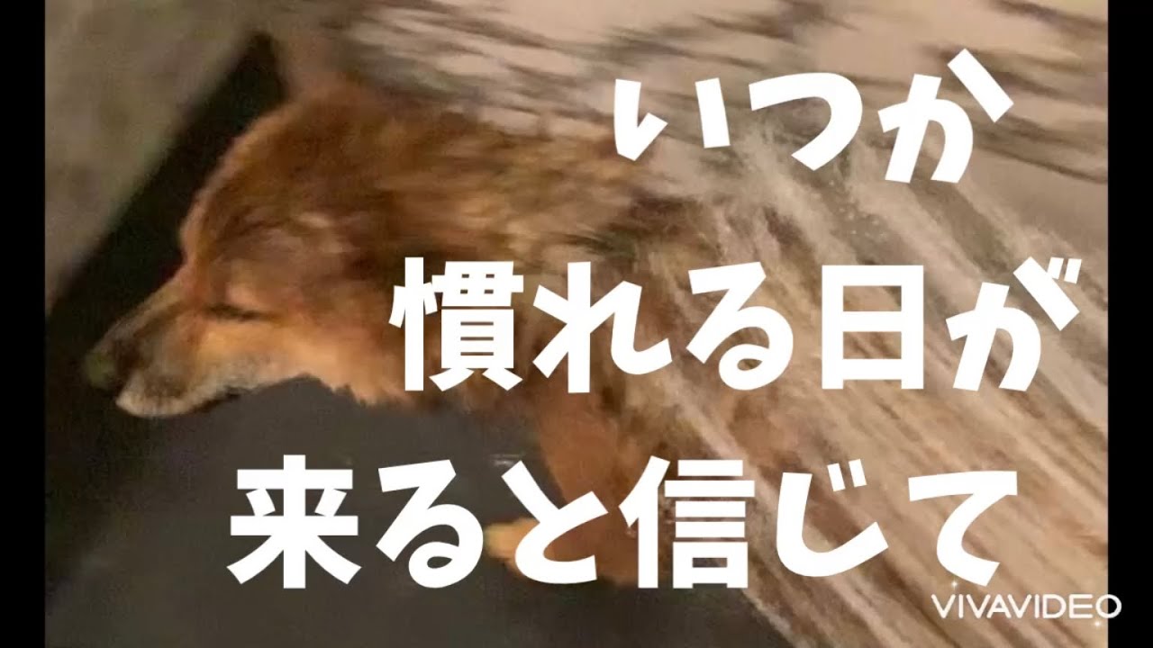 2022年9月24日
