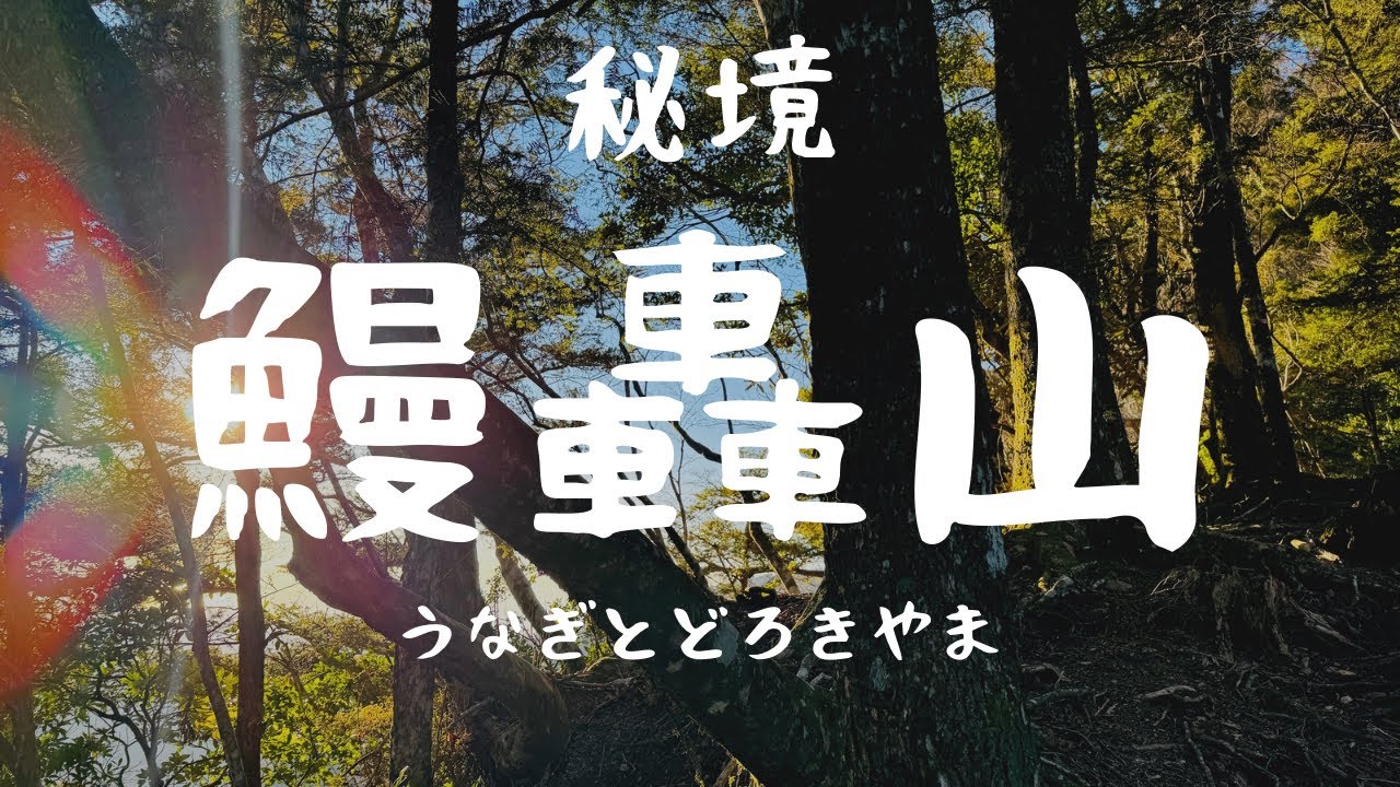 徳島県の秘境の地【四国登山】狭小のトラバース！孤独な１１kmの旅。四国百山　鰻轟山と吉野丸縦走【冬登山】