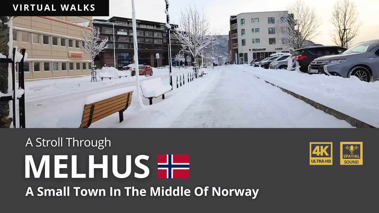 A Peaceful Walk in Melhus, Norway on the last day of 2024.