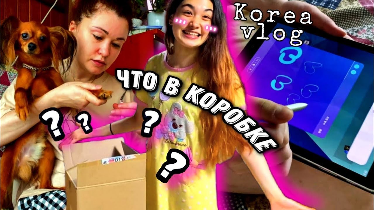 Подарок от государства/Адские когти Кубика/Тест на сердечных червей/KOREA VLOG