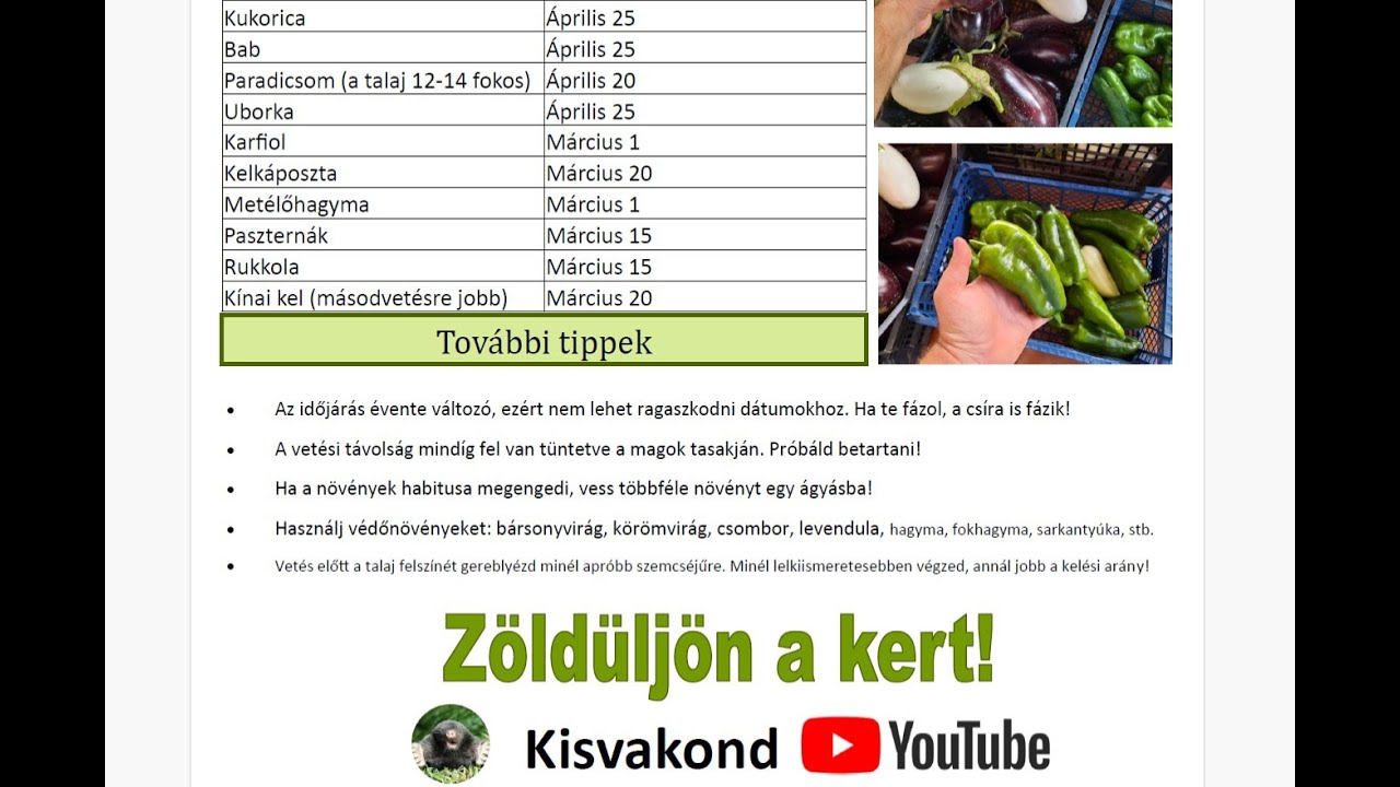 Vet&eacute;si napt&aacute;rak 2024 -Kisvakond