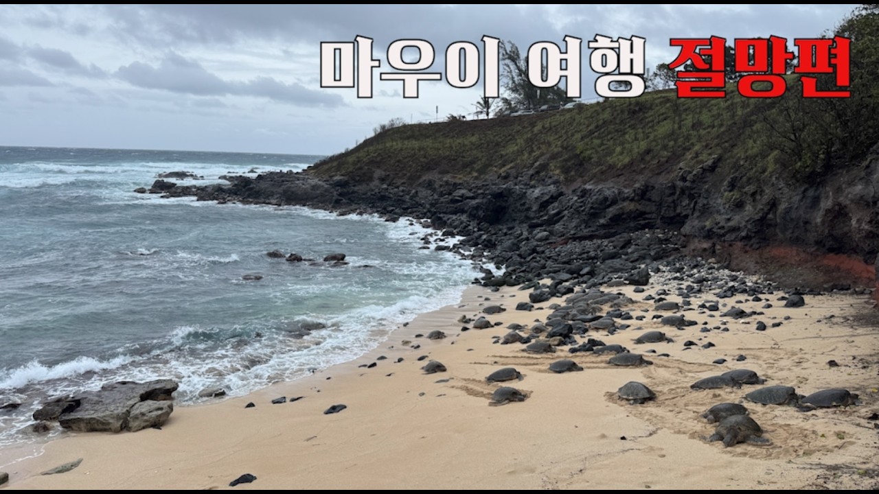 마우이 여행 우기 현실｜하와이 날씨의 민낯