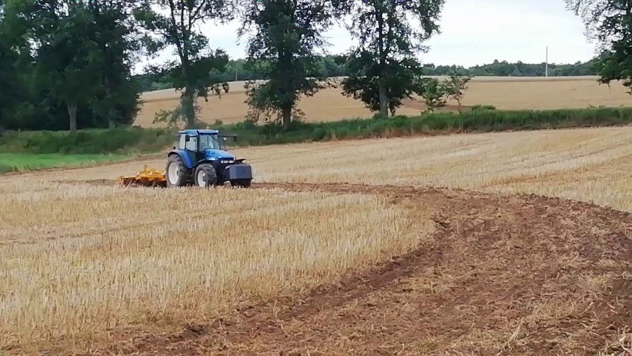 New Holland Tm 135 & Staltech
