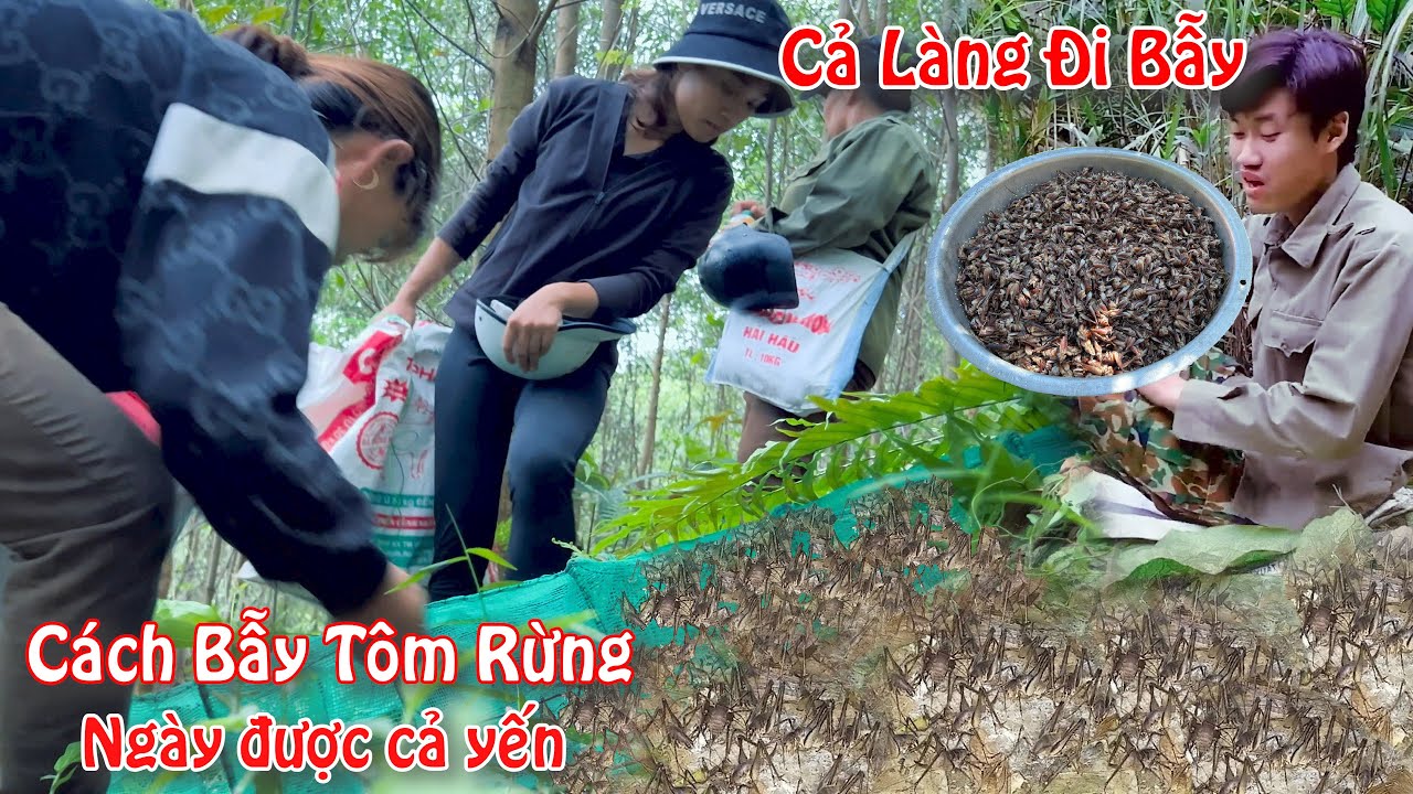 CẢ LÀNG KÉO NHAU VÀO RỪNG BẮT CHÔM CHÔM (Tôm Rừng) | CÁCH ĐẶT BẪY TÓM GỌN CẢ HANG Ổ - Bùi Văn Trọng