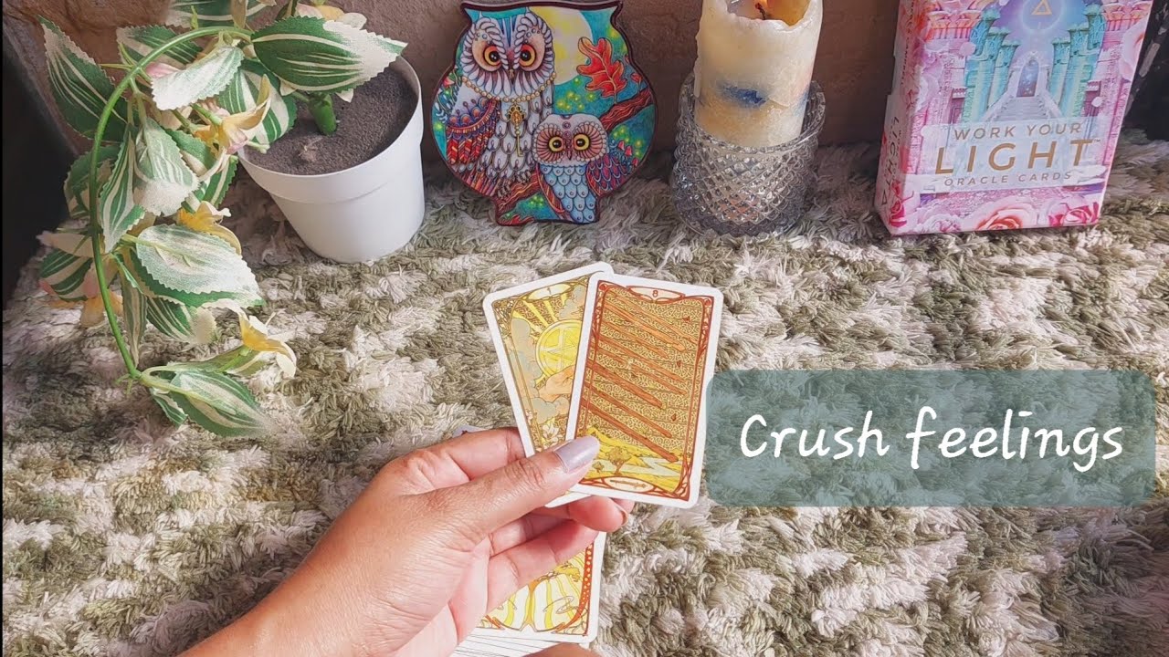 Crush feelings. Past, Present and near future. Separation and Union. General Timeless Tarot reading.