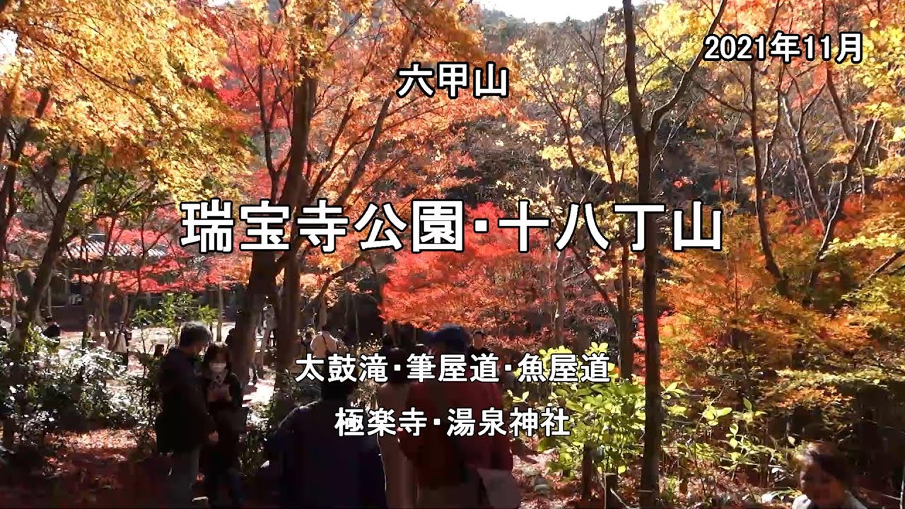 《瑞宝寺公園・十八丁山》 行って良かった 十八丁山🍁🏃😊🌳　(No Voice / Nature Sounds / POV)