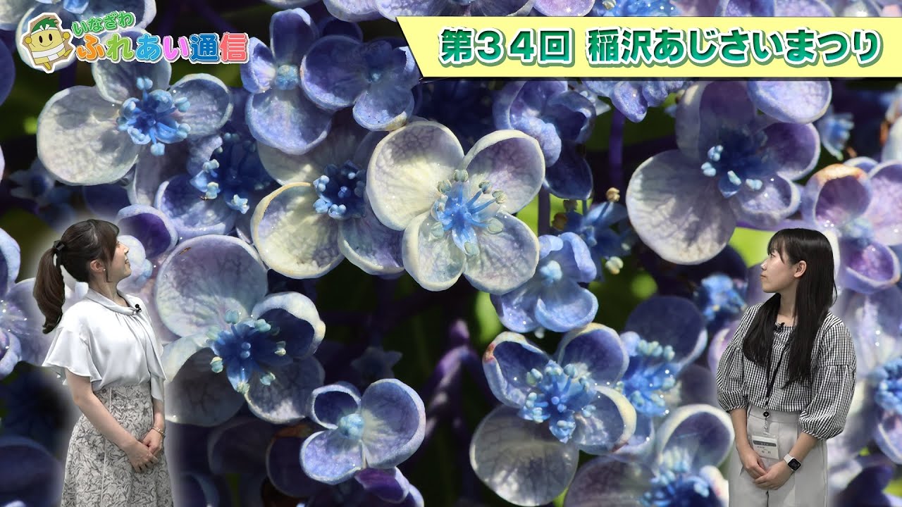 「稲沢あじさいまつり 」ふれあい通信　令和７年６月前半号