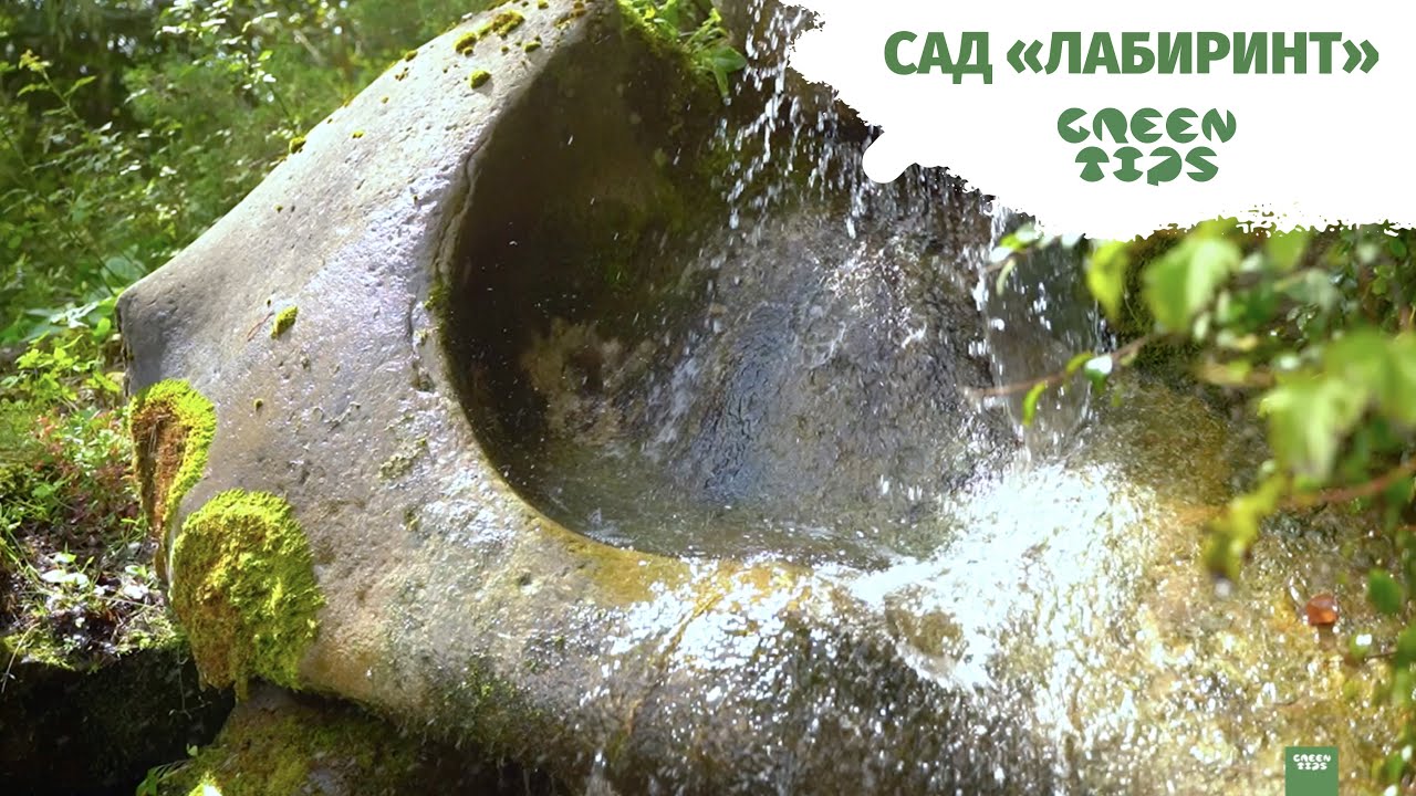 Сад «ЛАБИРИНТ» Людмилы Бубаник