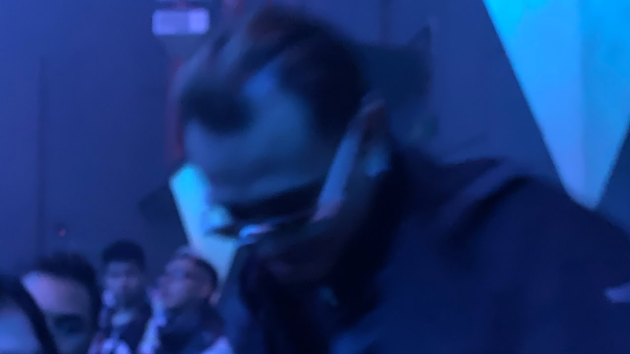 Forrest gump-anh highhh hustlang robber live at noxx city