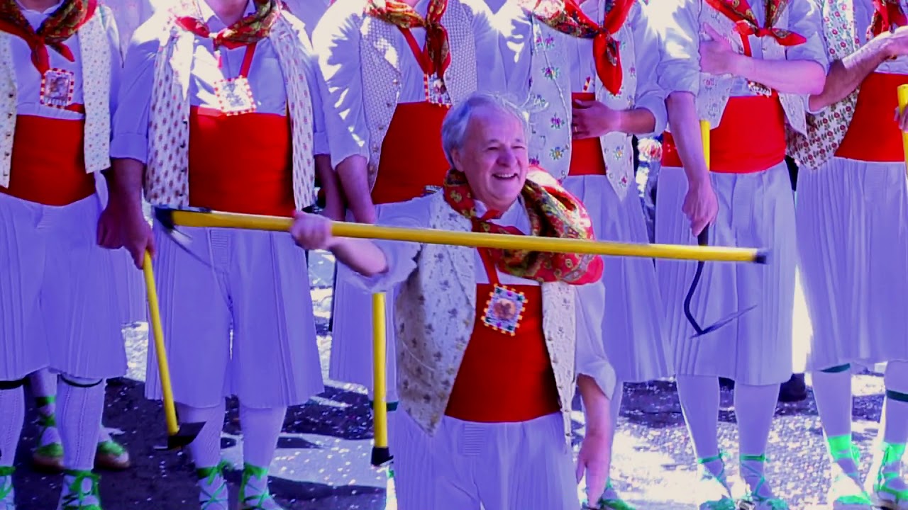 8 Labradores 2019