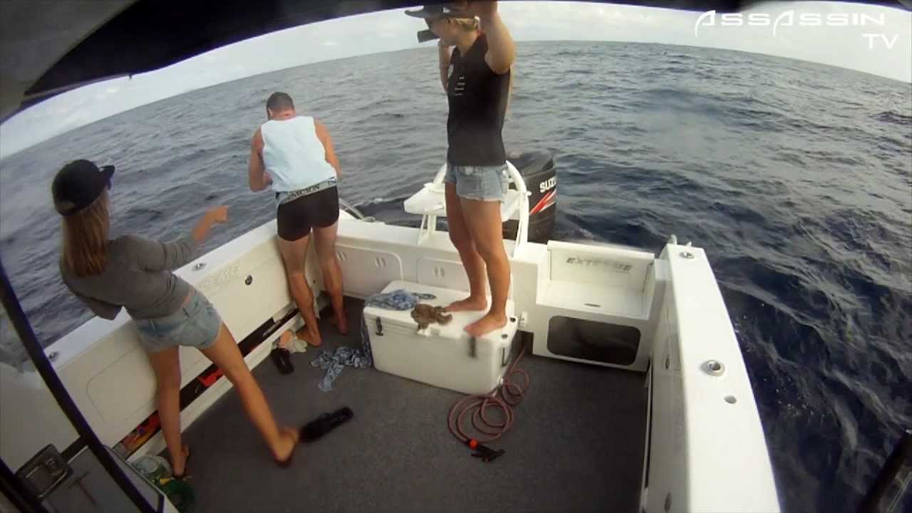 Assassin Greatest Hits - Smashing NZ Kingfish on Jigs