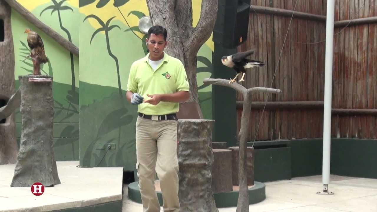 Una visita al Museo Vivo del Zoológico de Barranquilla