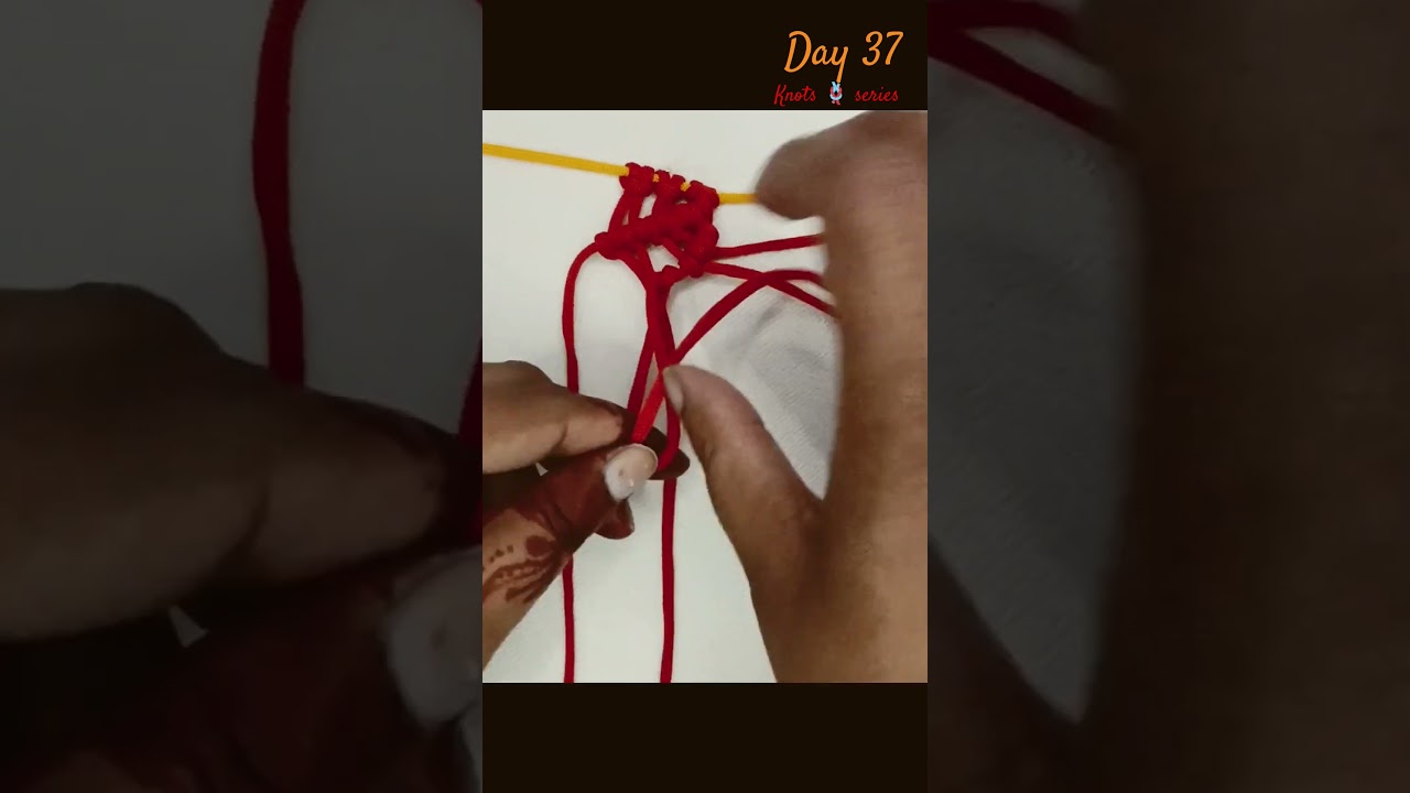 37/100 knots series, learn macrame🪢 basic #macrame #diy #class #tutorial #series #trending #reels