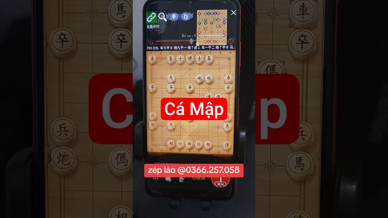 PHẦN MỀM CỜ C&Aacute; MẬP #cotuong