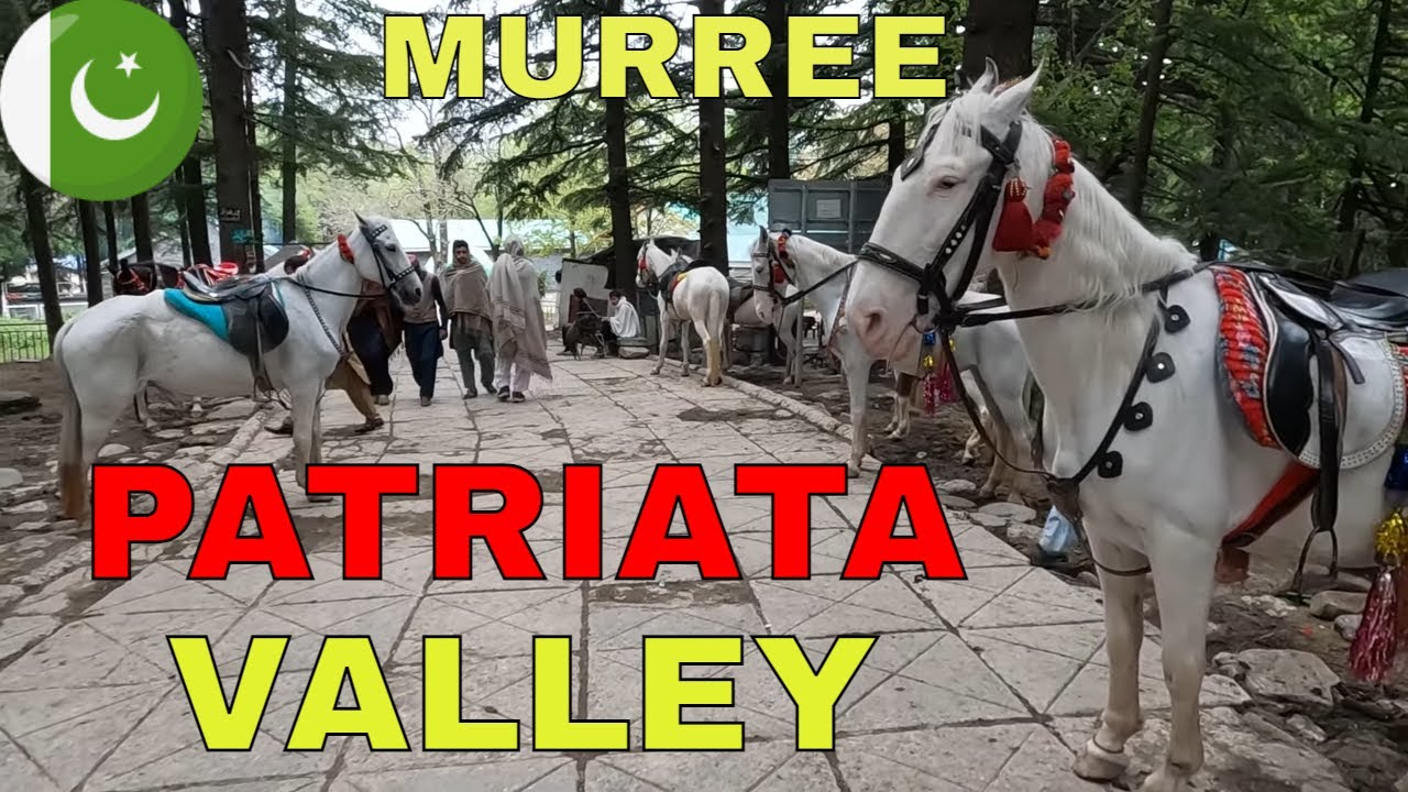 Patriata Valley Walking Tour | New Murree, Pakistan | 4k