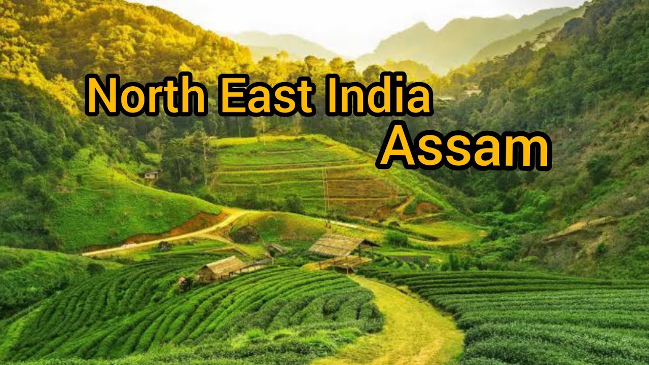 Assam India Documentary - Northeast India Travel Documentary #assam