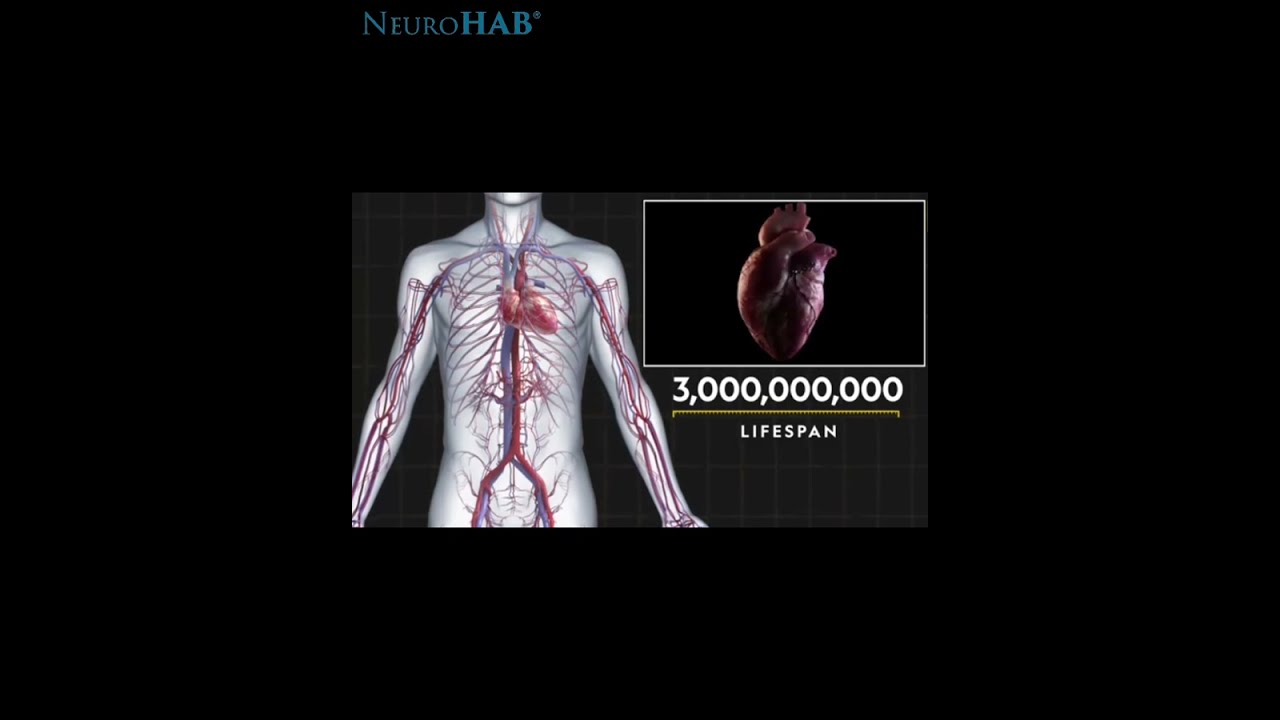 Heart Failure and Lumbar Spine Failure. Fundamental Similarities. Causation must be Addressed