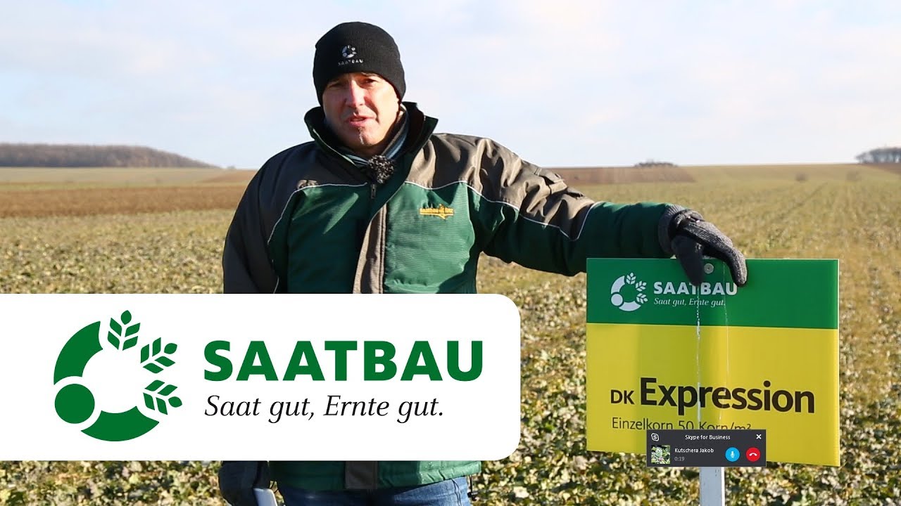 Raps – Bestandesführung im Frühjahr optimieren!