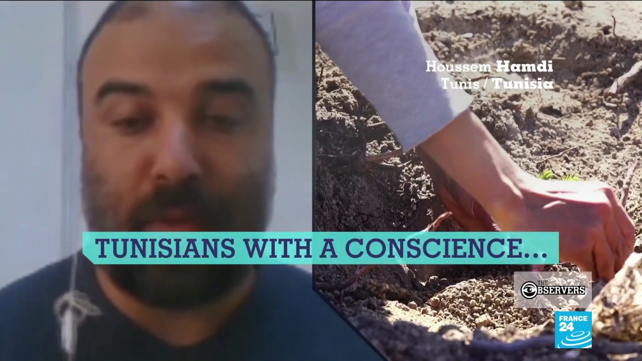 Replanting trees in a Tunisian forest devastated by wildfires