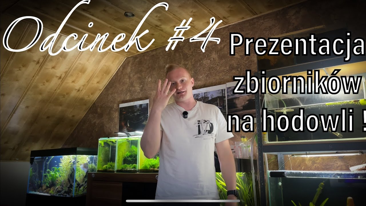 #4 Prezentuje całą hodowlę po raz pierwszy ! Zajrzymy do zbiorników !