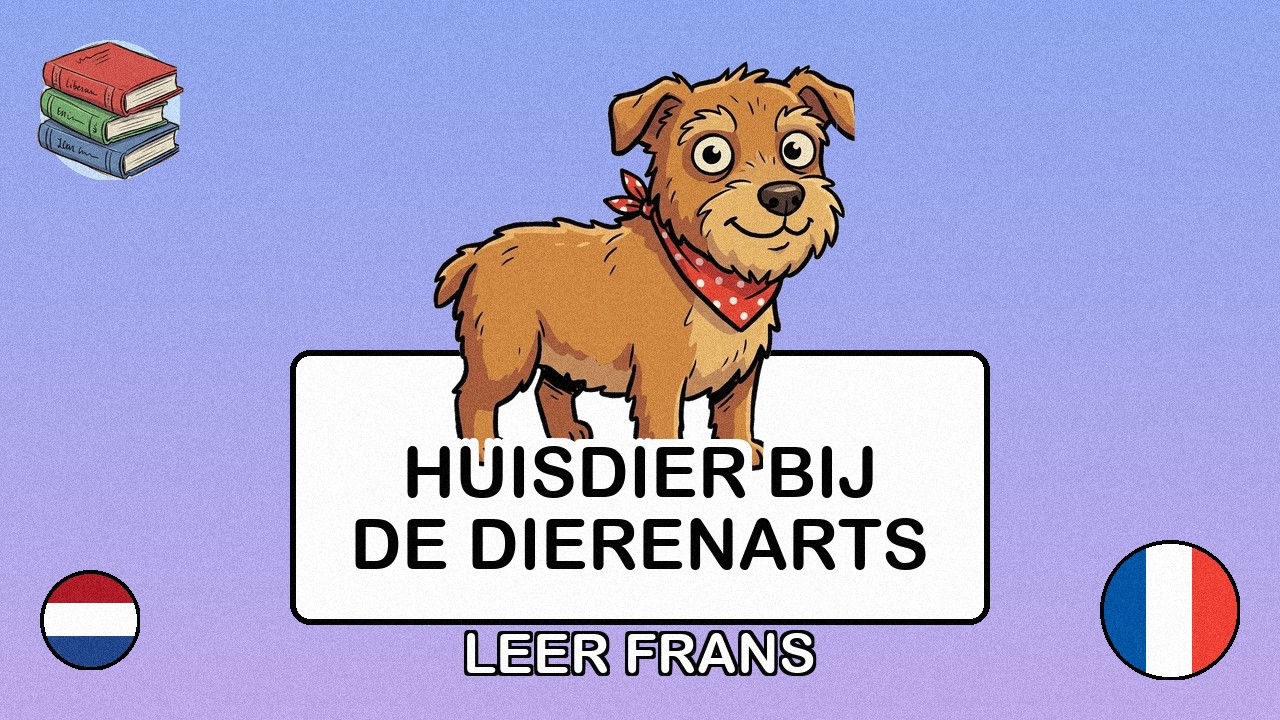 🇳🇱→🇫🇷 Leer Frans - Je huisdier naar de dierenarts brengen