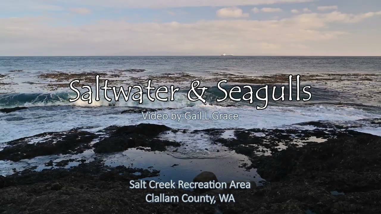 Saltwater & Seagulls