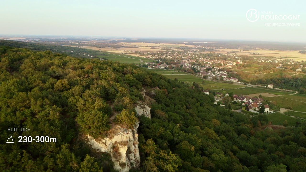 An overview of the Rully appellation