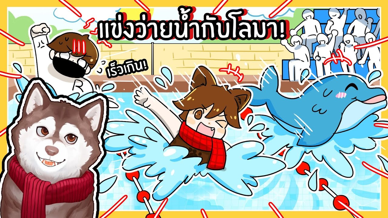 หมาสติแตกแข่งว่ายน้ำกับโลมา! ว่ายเร็วสุดๆ!! 🐾