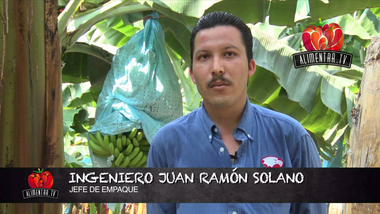 COLIMAN DEL ESTADO  DE COLIMA