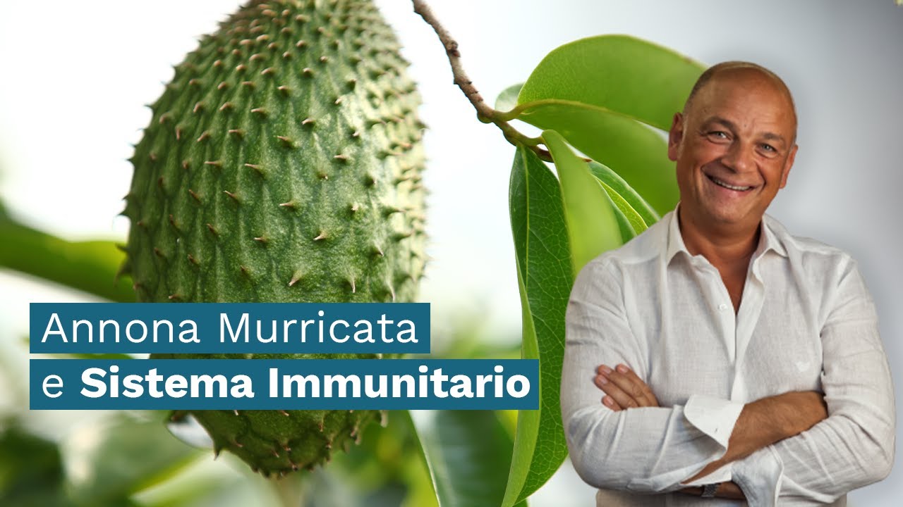 Annona Muricata e Sistema Immunitario