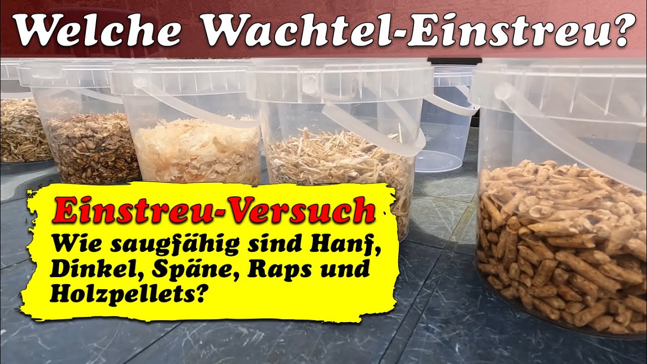 Wachtel-Einstreu-Test - Welche Einstreu für Wachteln und Hühner ist am saugfähigsten?