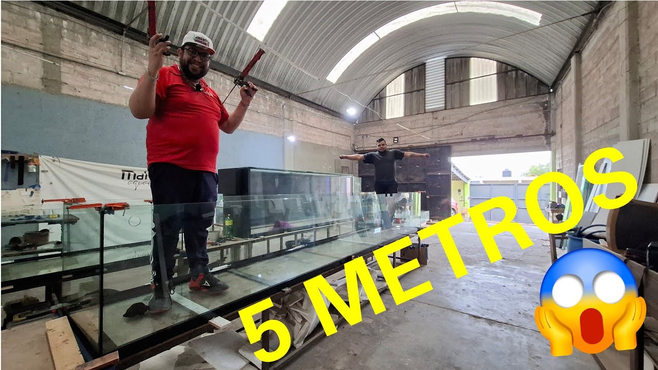 Fabricando un GIGANTESCO Acuario PREMIUM de 5 METROS de Largo (Maha Aquariums)