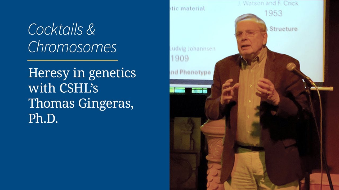 Cocktails & Chromosomes: Heresy in genetics with CSHL's Thomas Gingeras, Ph.D.