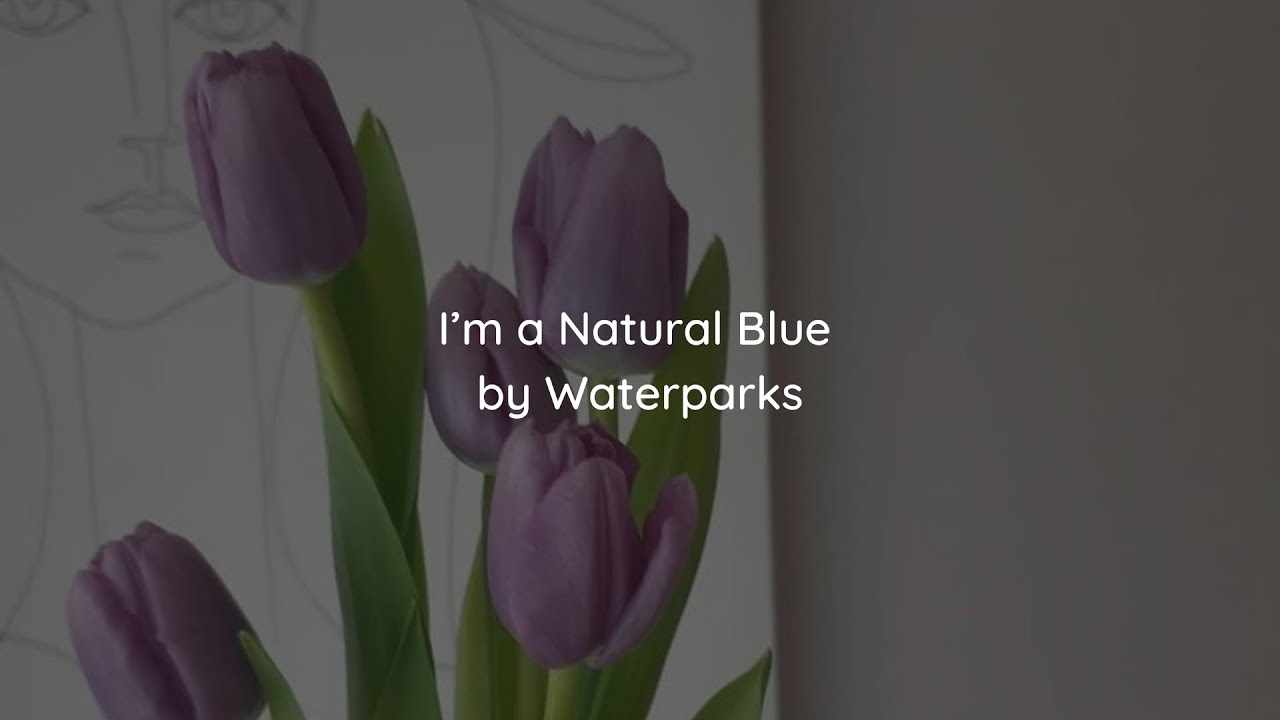 I’m a Natural Blue | Waterparks | Lyrics