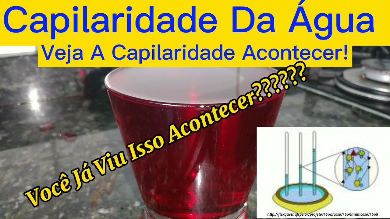 Experiência: Capilaridade Da Água Como Você Nunca Viu