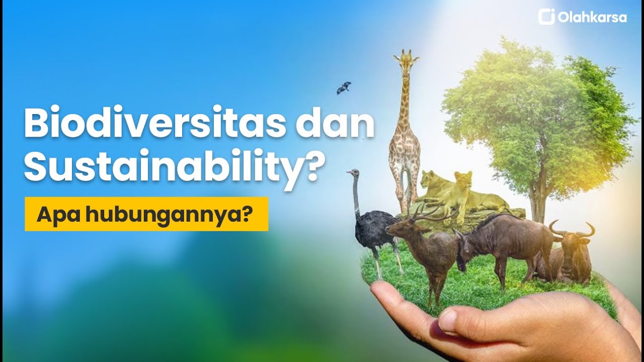 Apa hubungan antara biodiversitas dan keberlanjutan?