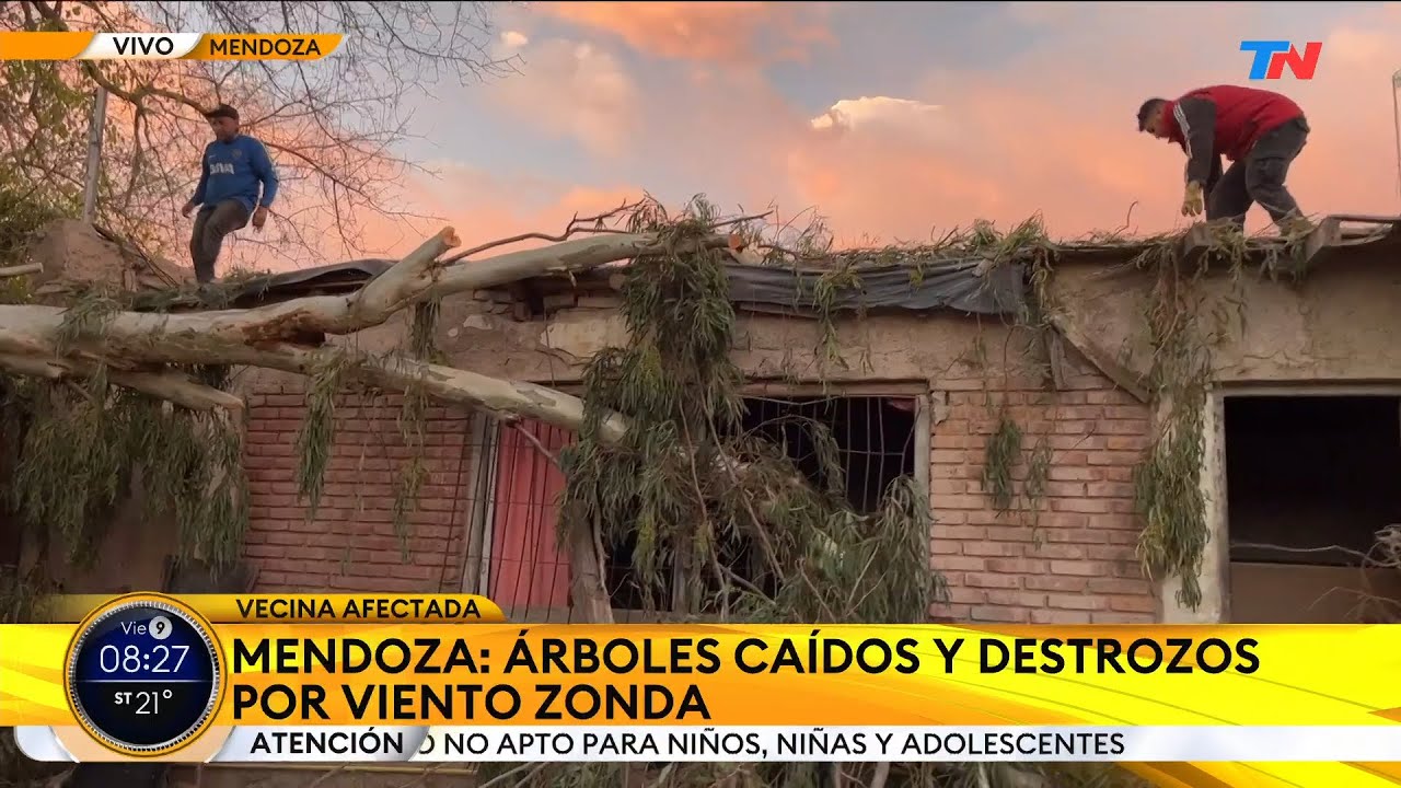 MENDOZA I Árboles caídos y destrozos por el viento zonda