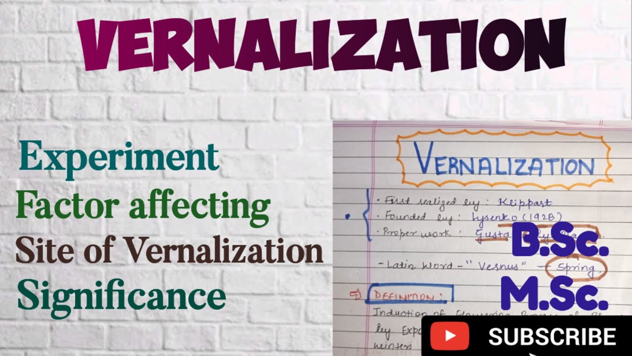 what is Vernalization in Plants|| Significance of Vernalization B.Sc M.Sc notes on Vernalization