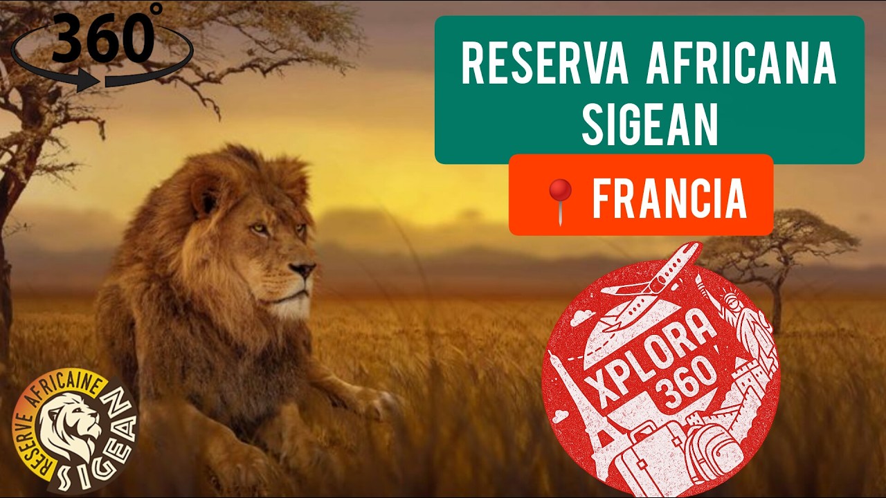 🦁🌍 Safari en Europa: la salvaje ruta por la Reserva Africana de Sigean 🦒 / 360º 🎥