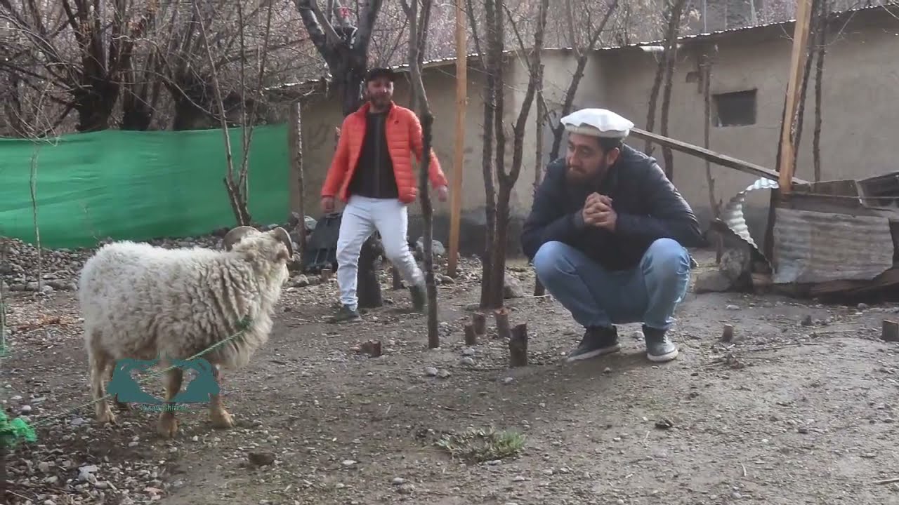 Pushuro Qalamdar (Meat Lover) || video by team Sheali Chitrar.