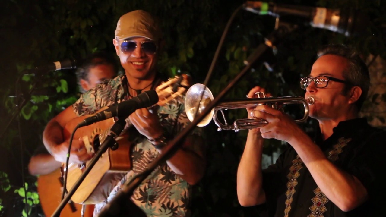 Pájaro Cenzontle Cover de Los Insobornables