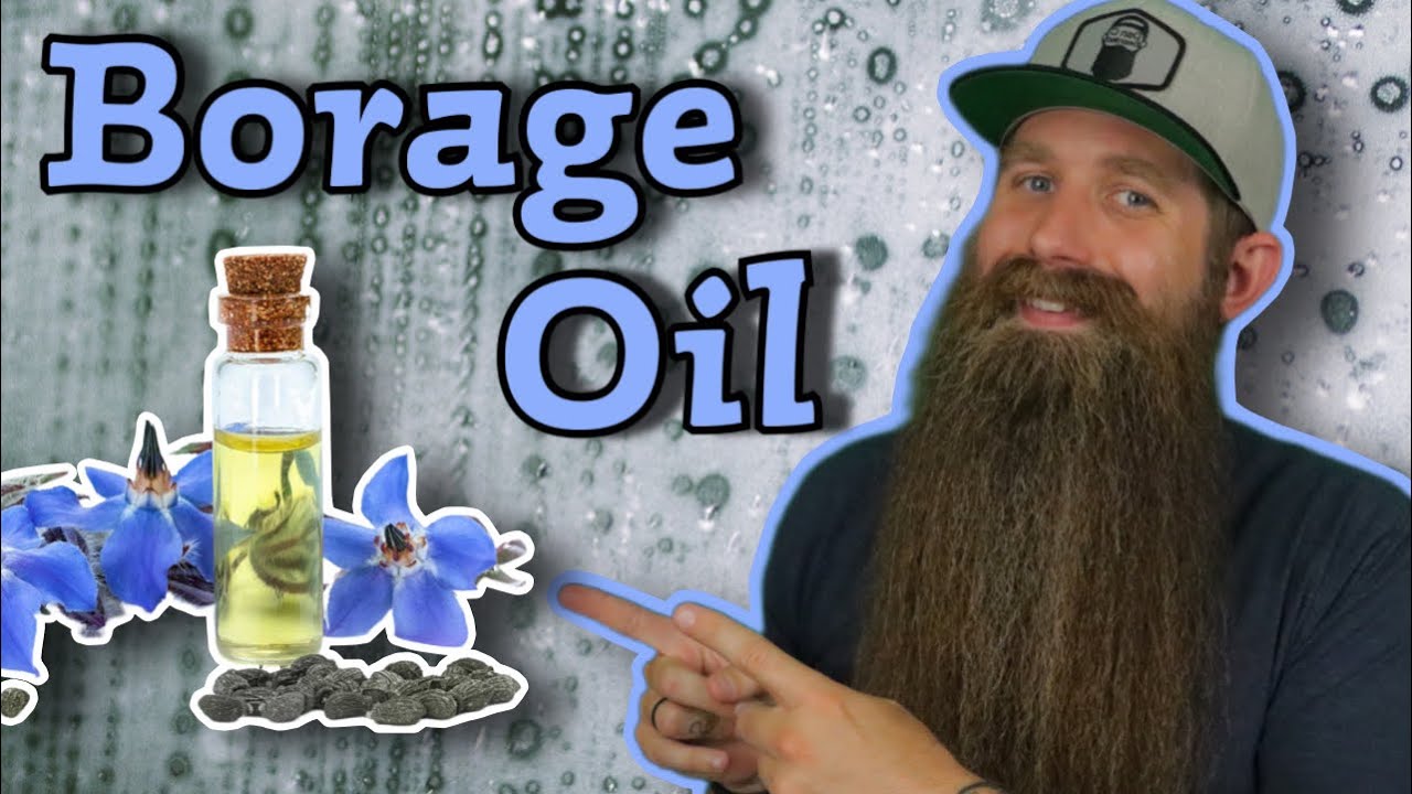 Borage Oil [History & Benefits] Carrier Oils 101