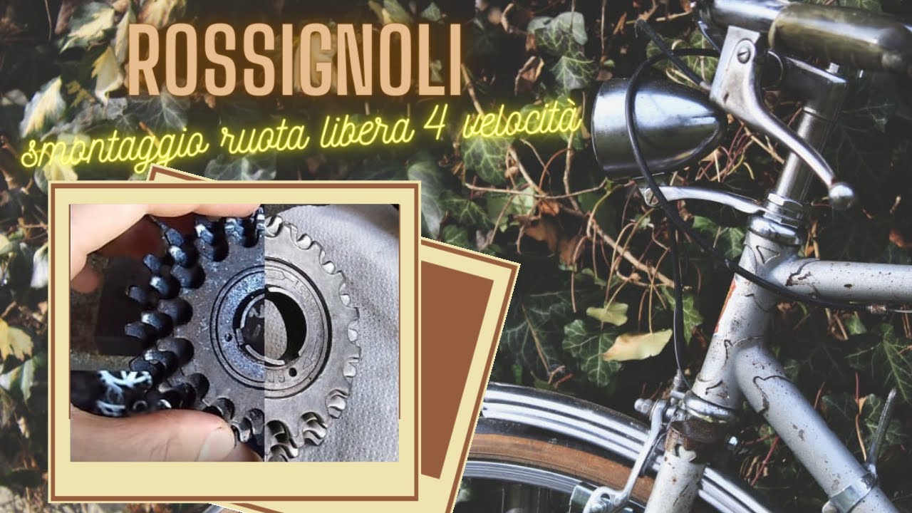 Smontaggio e pulizia ruota libera 4 velocità vintage