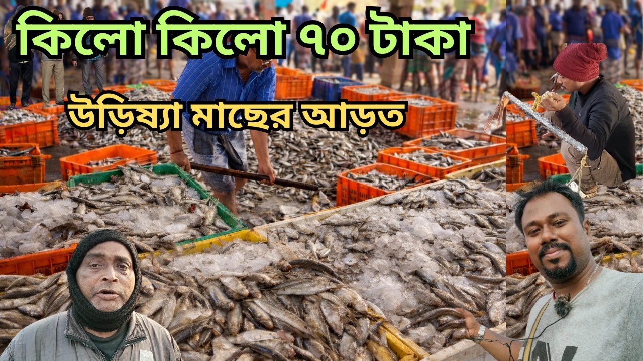 উড়িষ্যার সবচেয়ে বড় মাছের হোলসেল মার্কেট কোথায় অবস্থিত?