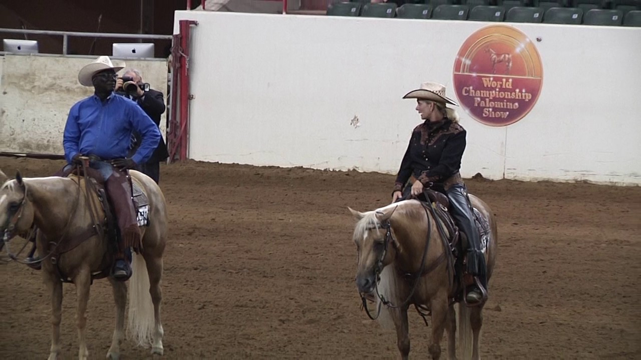 Class 10101 PHBA 2017 Open Ranch Rail Pleasure Stakes