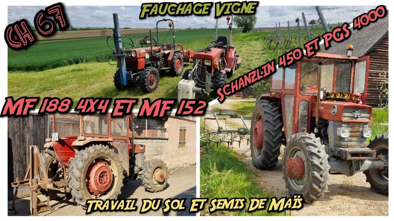 préparation de sol, semis de maïs et fauchage dans les vignes
