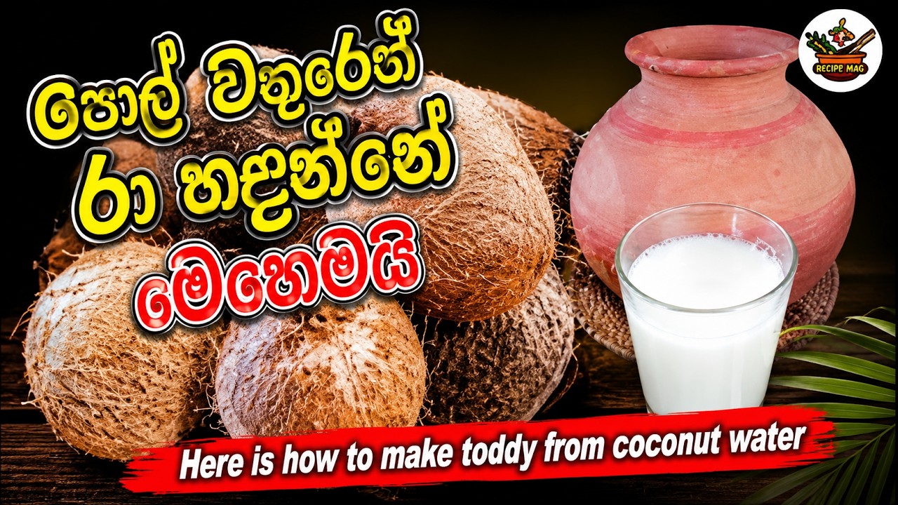 පොල් වතුරෙන් රා හදන්නේ මෙහෙමයි Here is how to make toddy from coconut water