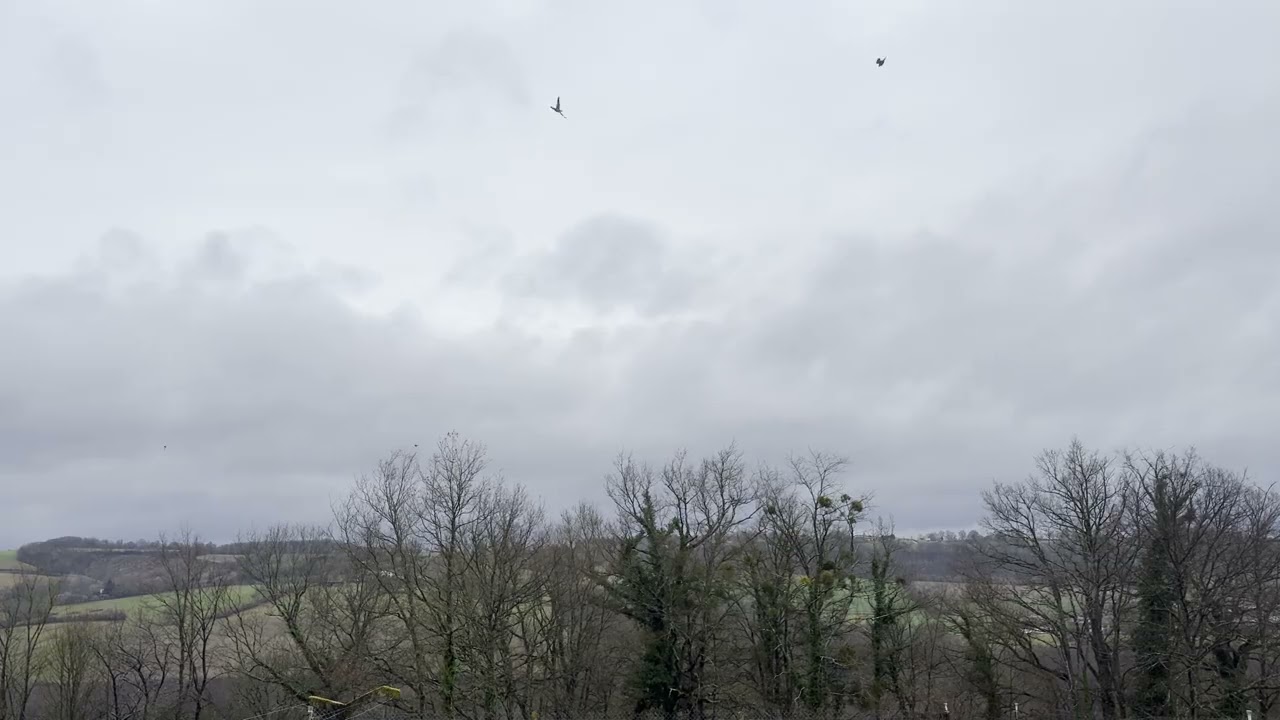 Ciel couvert & nature calme – Sons apaisants pour dormir 🌙 | Overcast Sky & Calm Nature Sounds (1h)